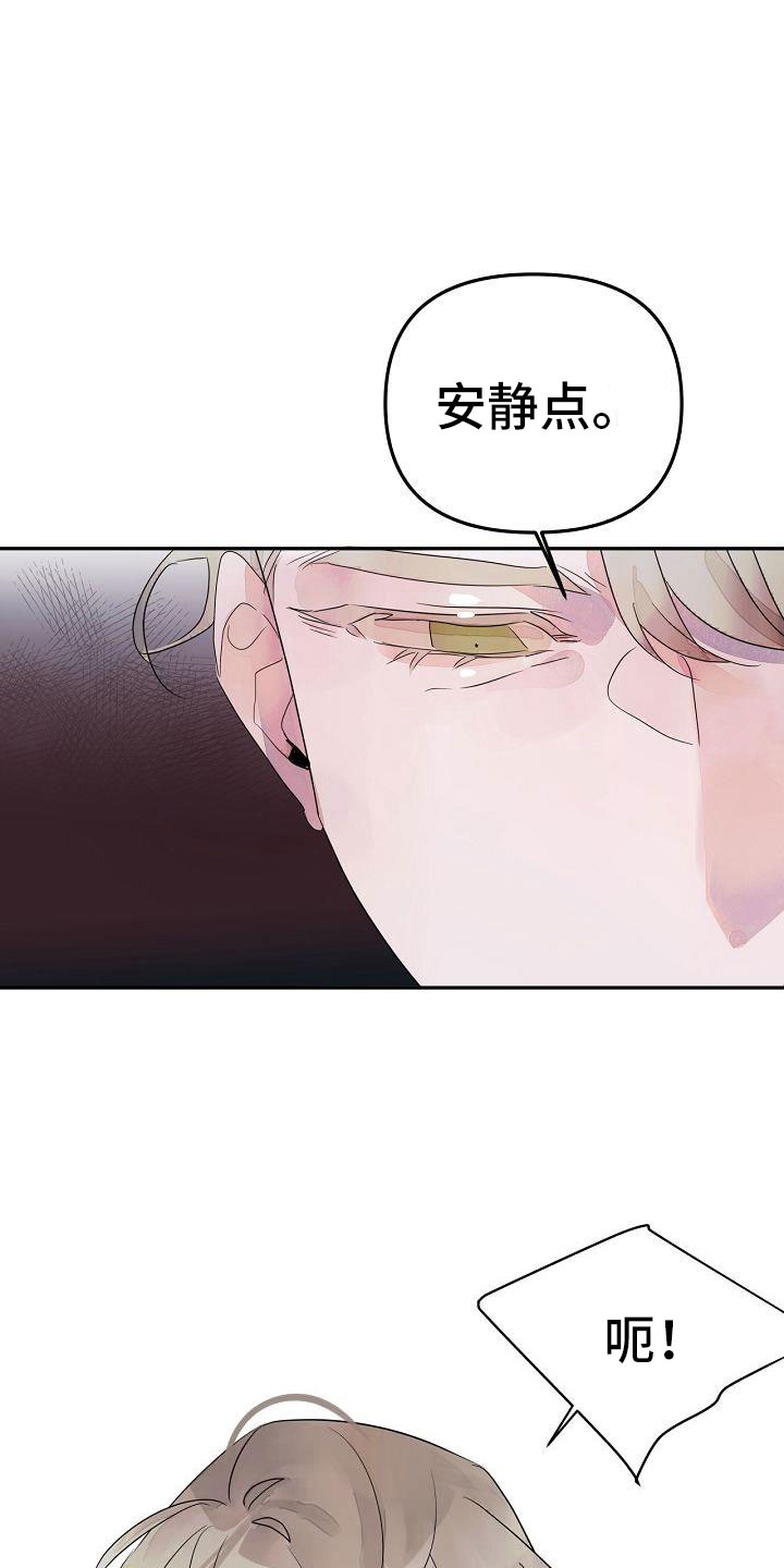 第42章：先走了0