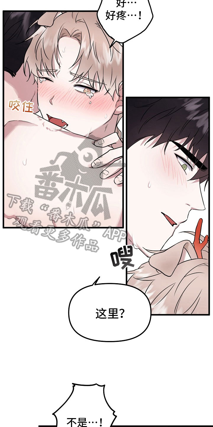 第4章：没必要2