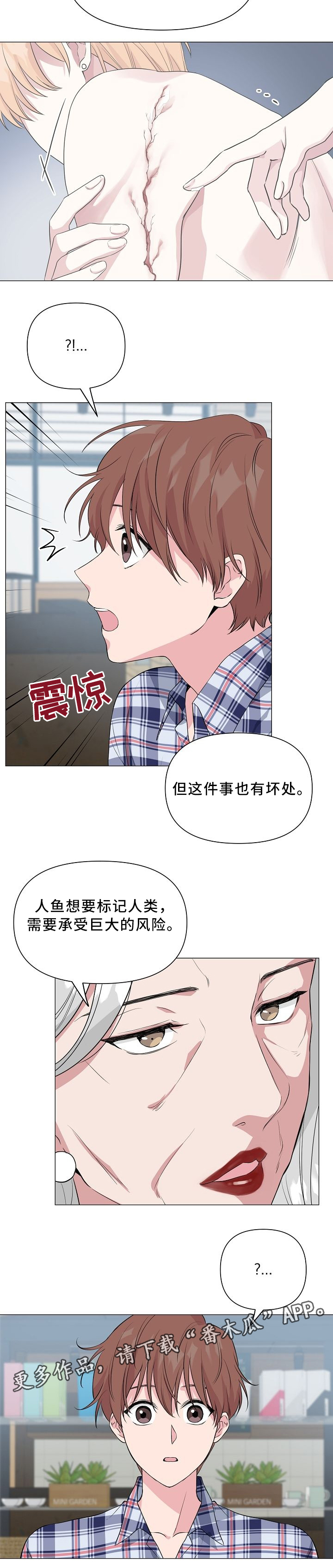 第37章：标记1