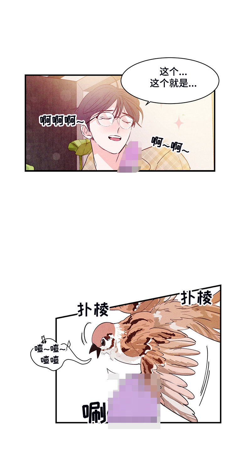 第34章：真正的爱情4