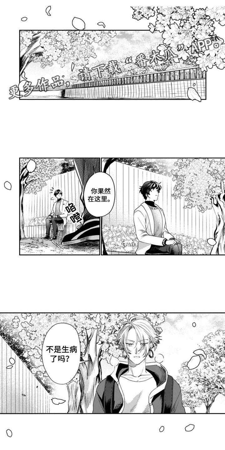 第14章：表达心意0