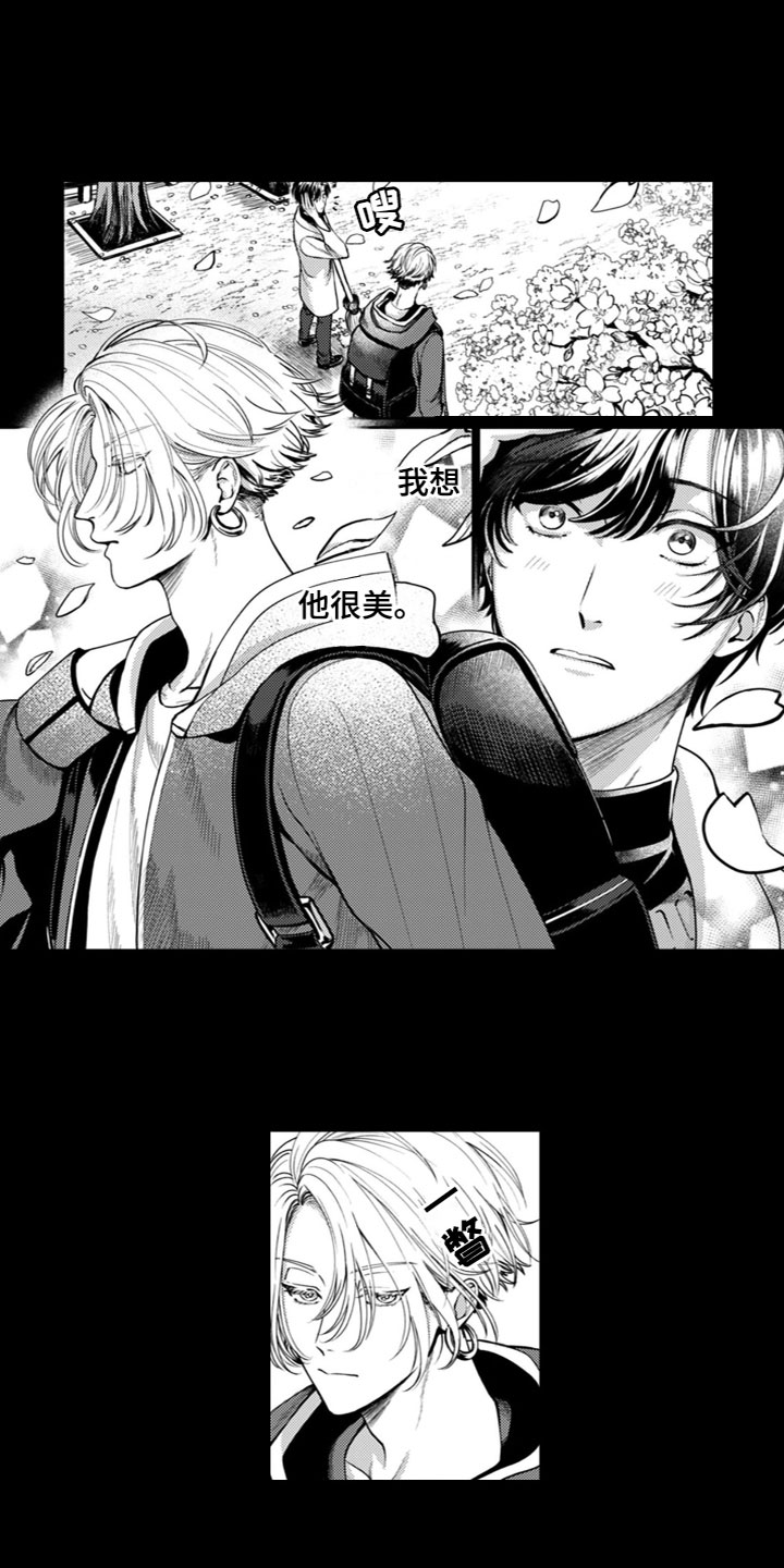 第1章：他很美2