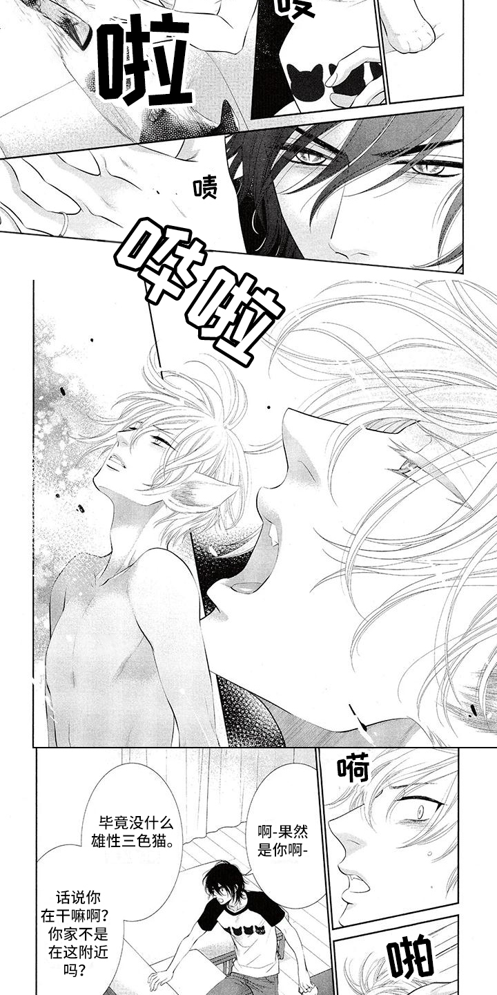 第3章：理直气壮3