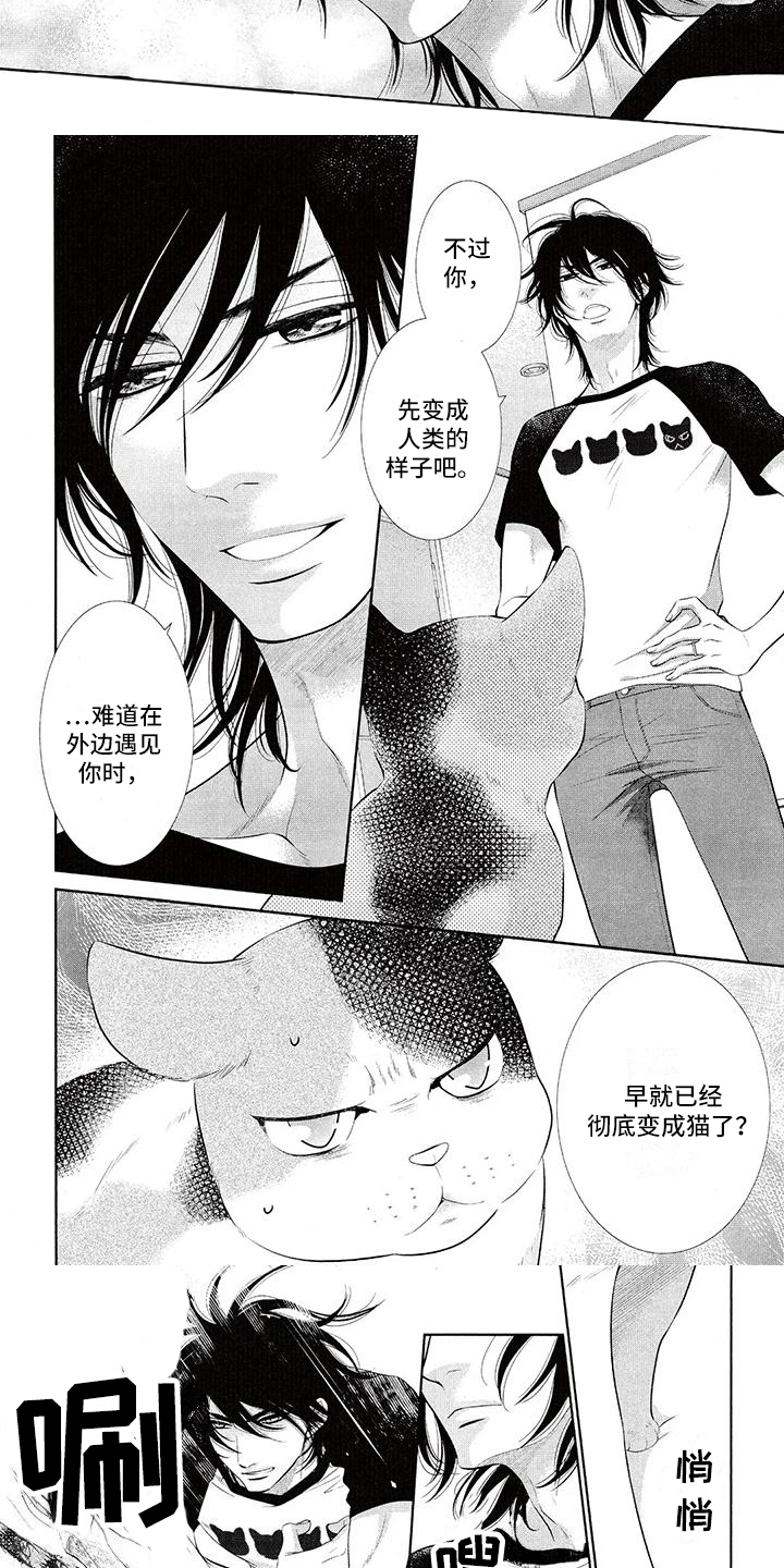 第3章：理直气壮2