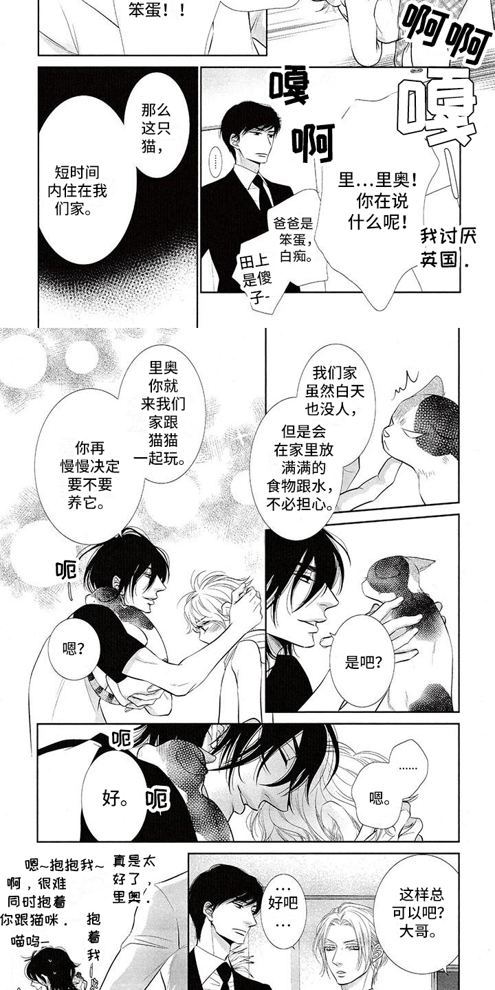 第2章：流浪猫4