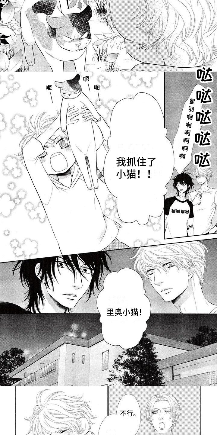 第2章：流浪猫2