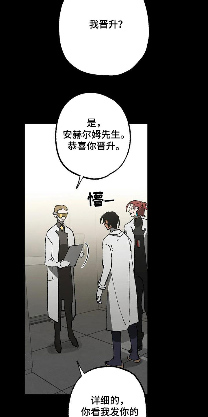 第20章：晋升与限制1