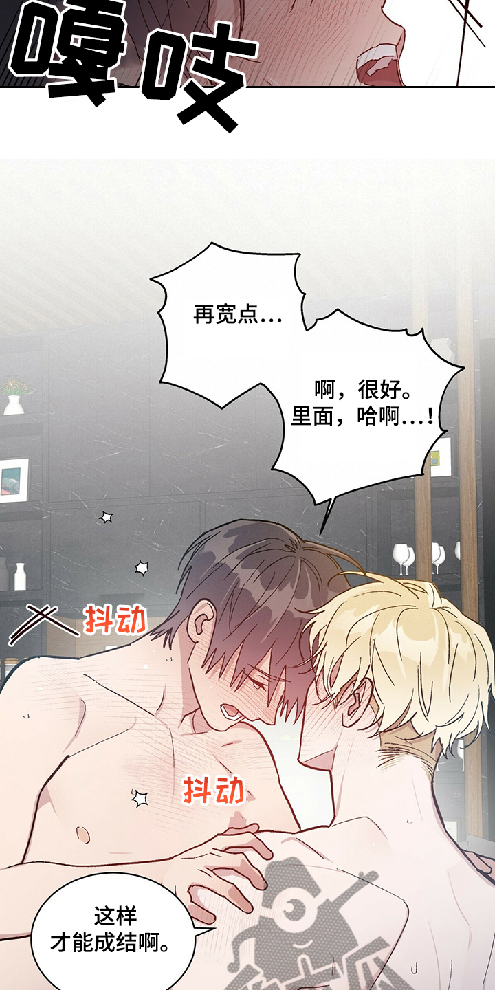 第73章：不是你希望的吗2