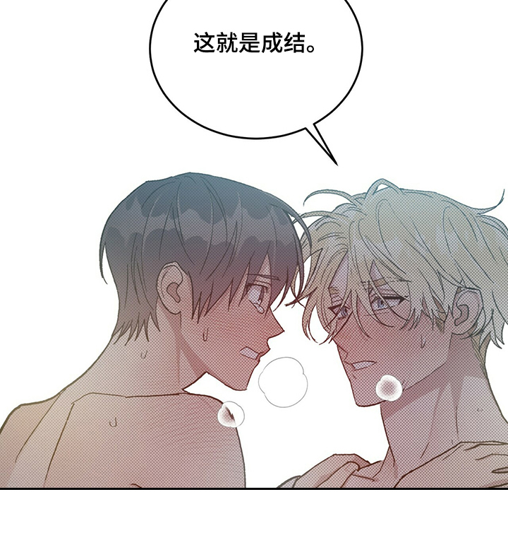 第73章：不是你希望的吗4