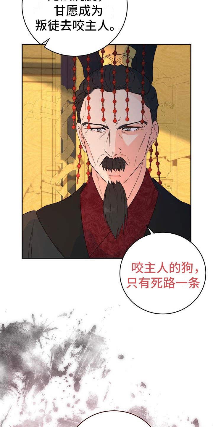 第11章：机会1