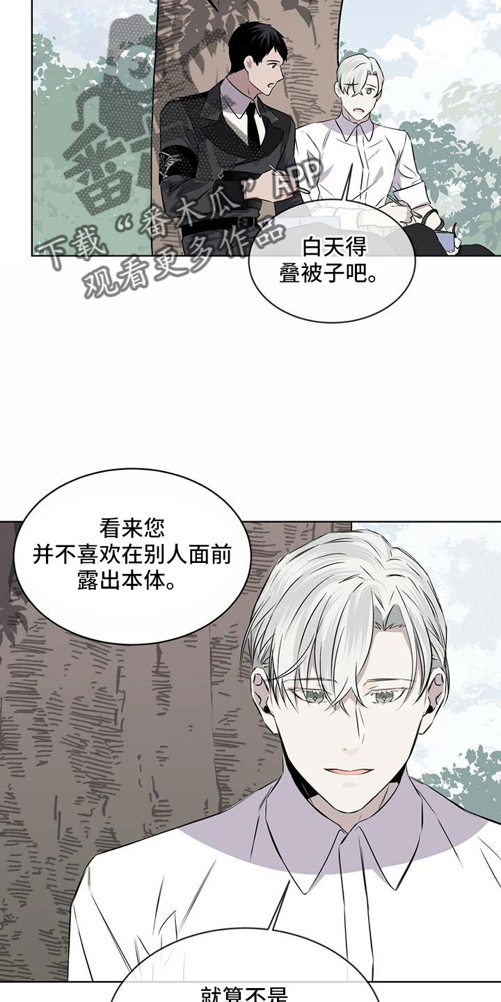 第39章：夜曲2