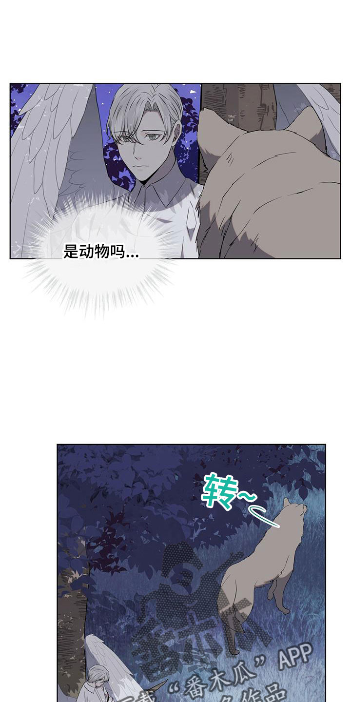 第36章：很想念1