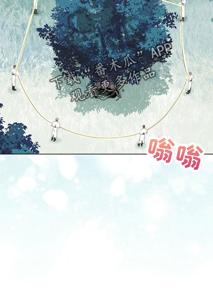 第39章：夜曲0