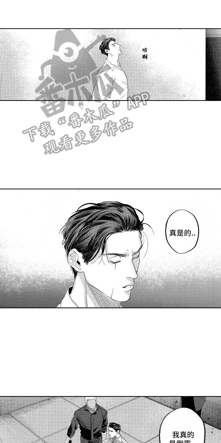 第14章：了解情况0