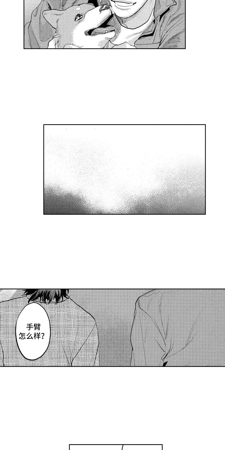 第11章：有情况4