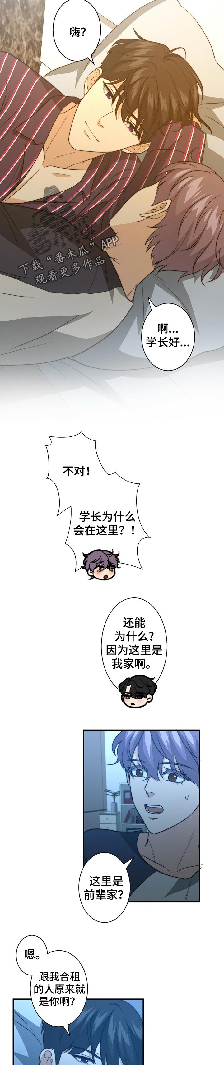 第55章：都是陷阱1