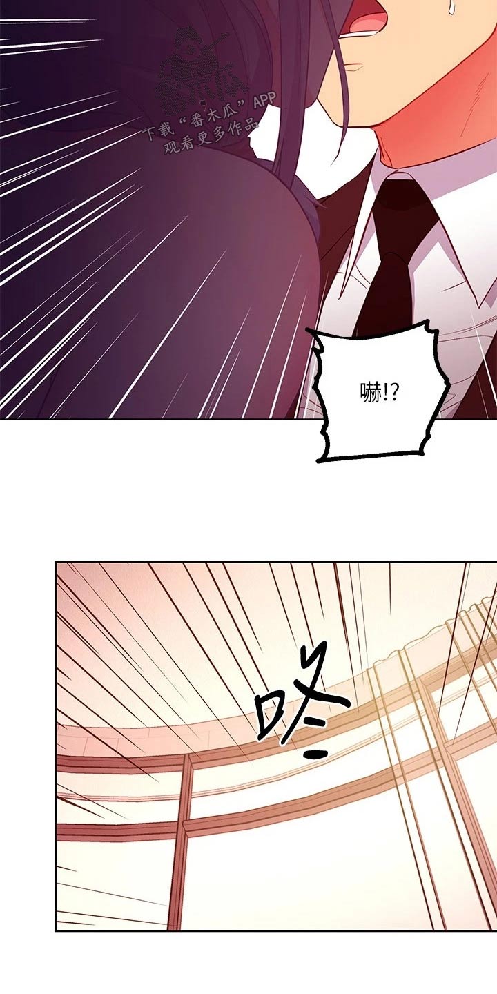 第242章：选择吧3