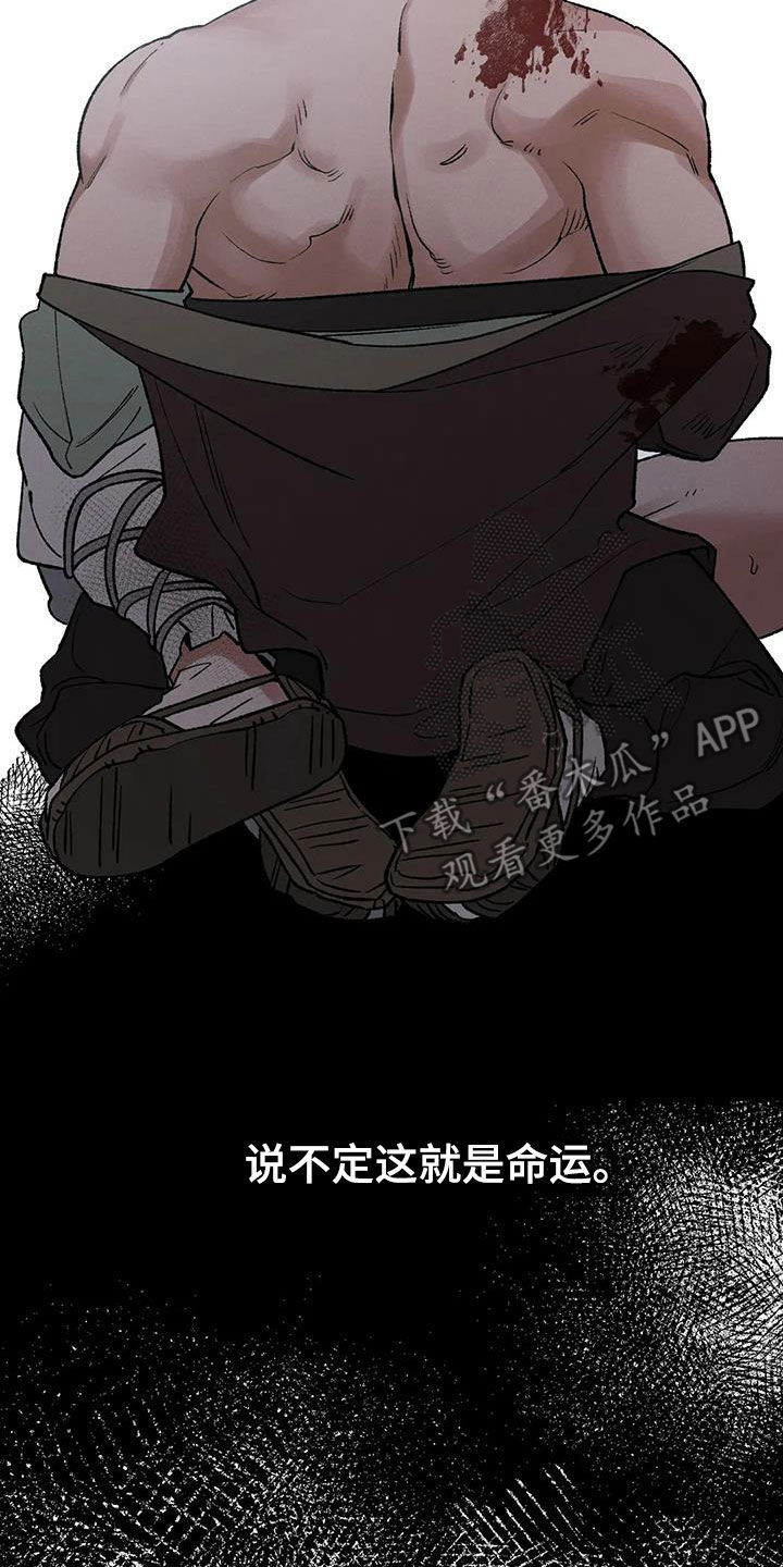 第19章：命运1