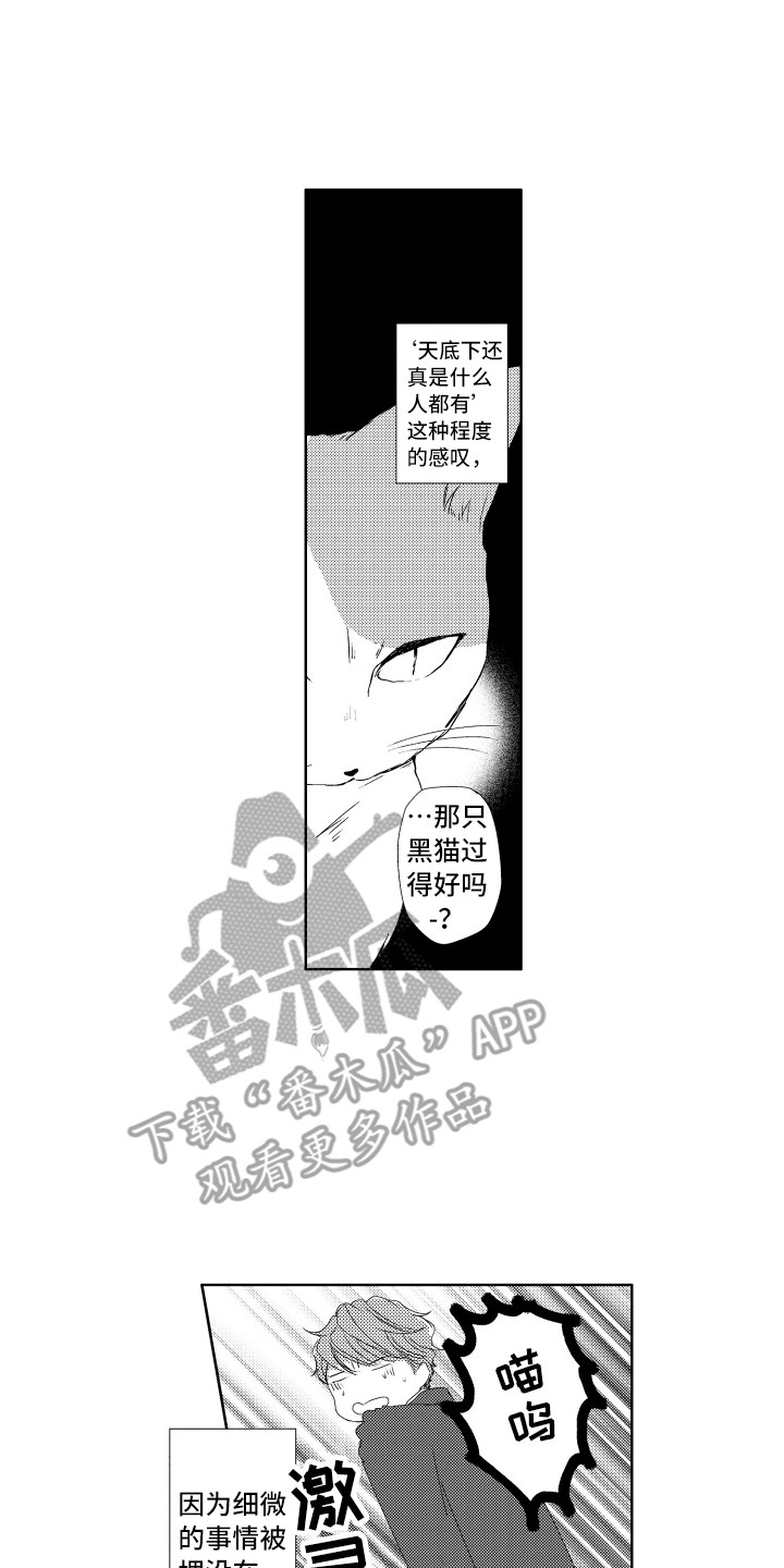 第24章：说话了0