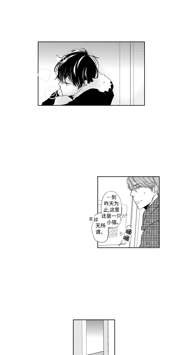 第1章：流浪猫3