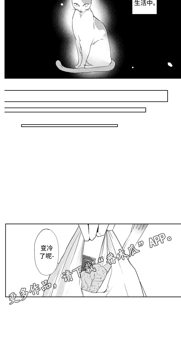 第24章：说话了2