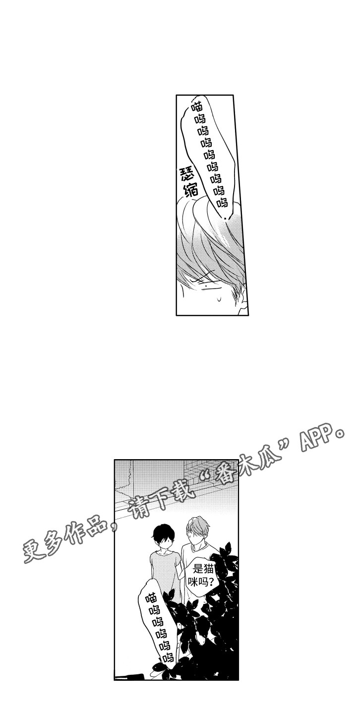 第13章：猫叫声3