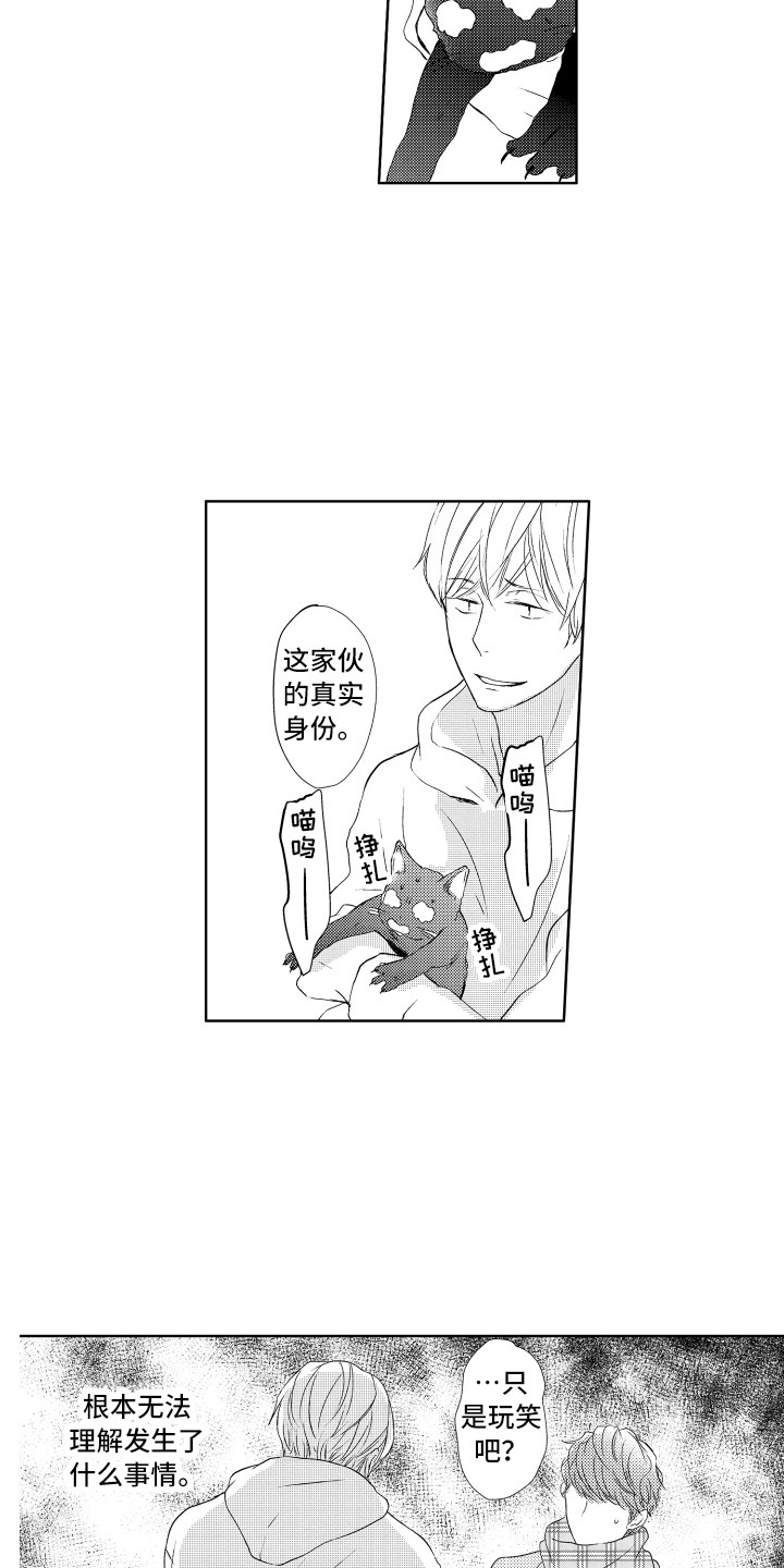 第25章：真面目4