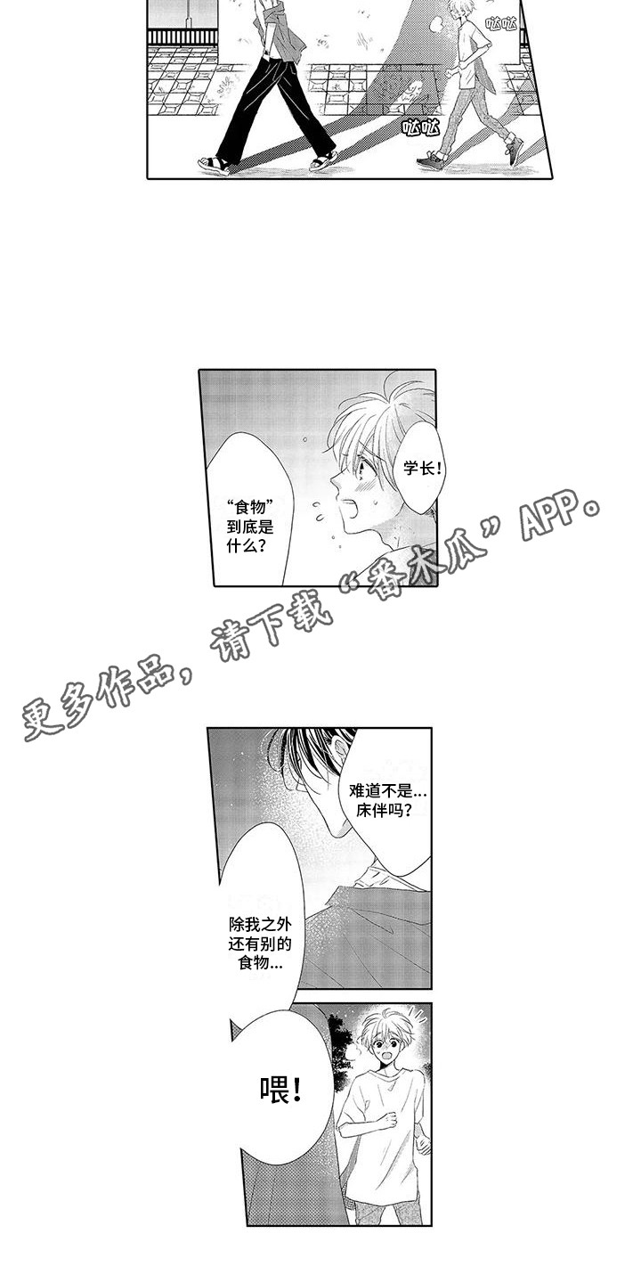 第11章：食物2