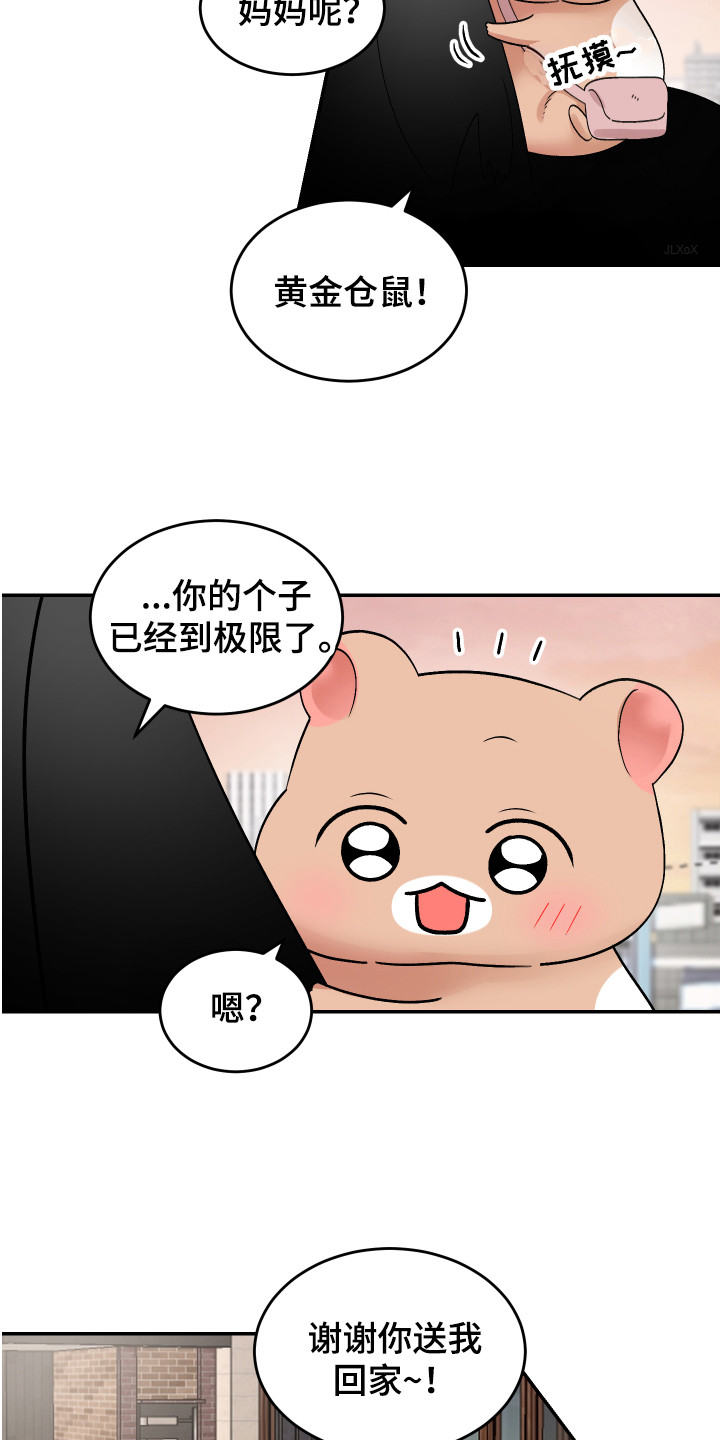 第14章：珍藏的食物2