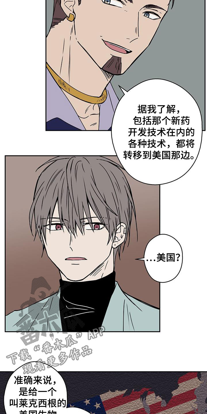 第43章：迷雾重重3