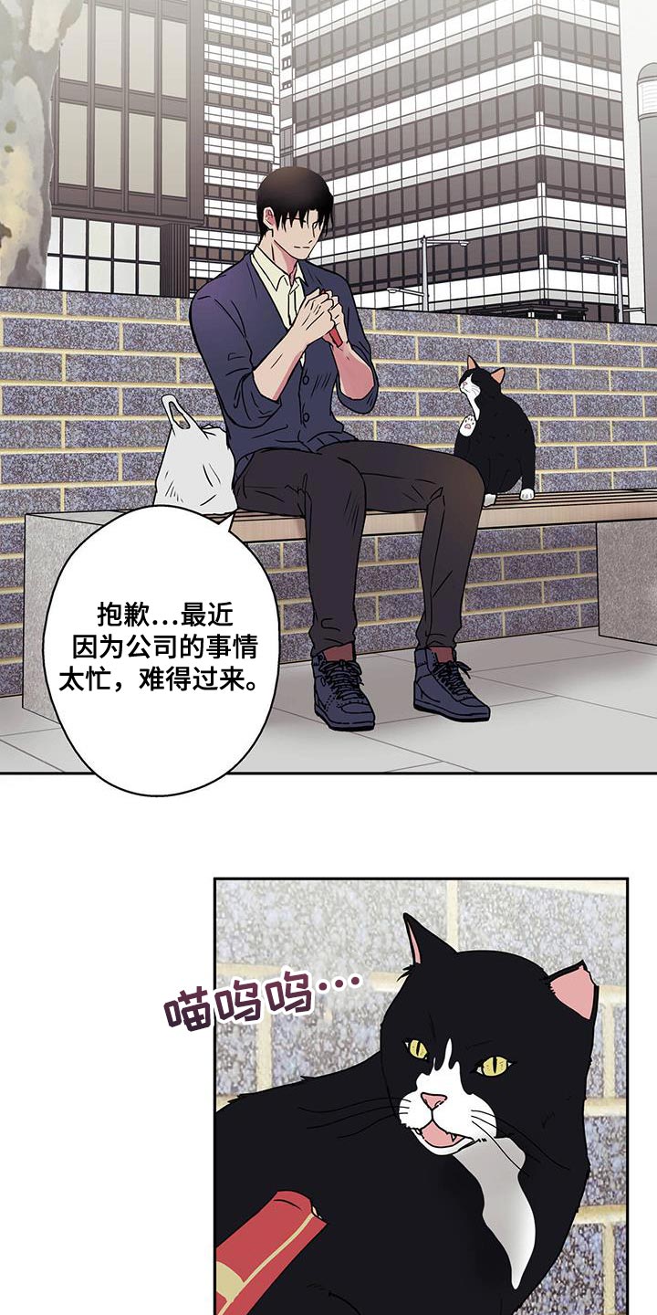 第58章：注意事项4