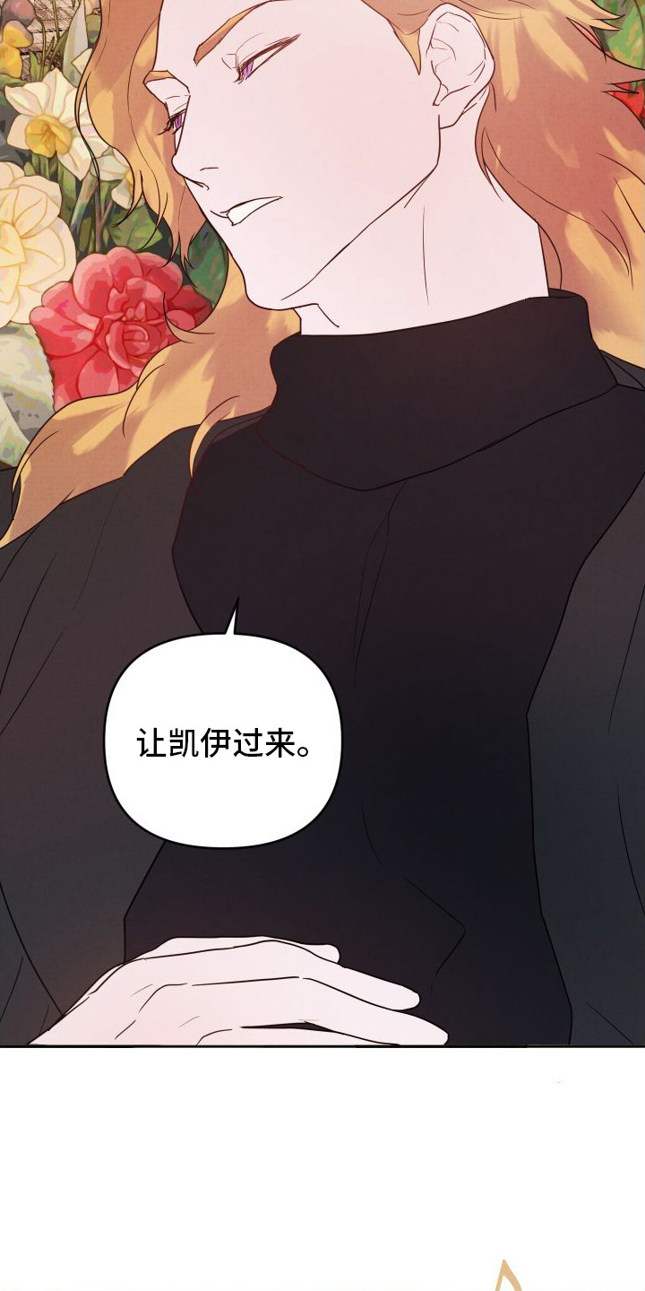 第6章：没有头绪1