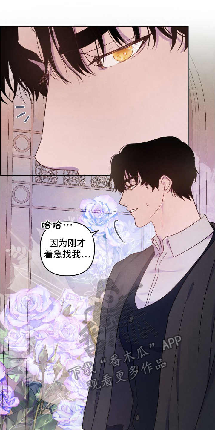 第9章：印象1