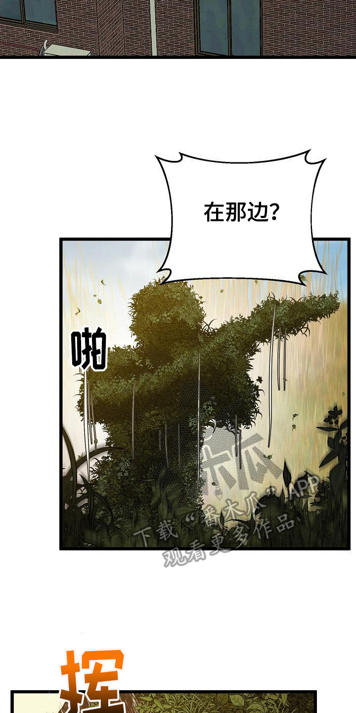 第16章： 运动场1