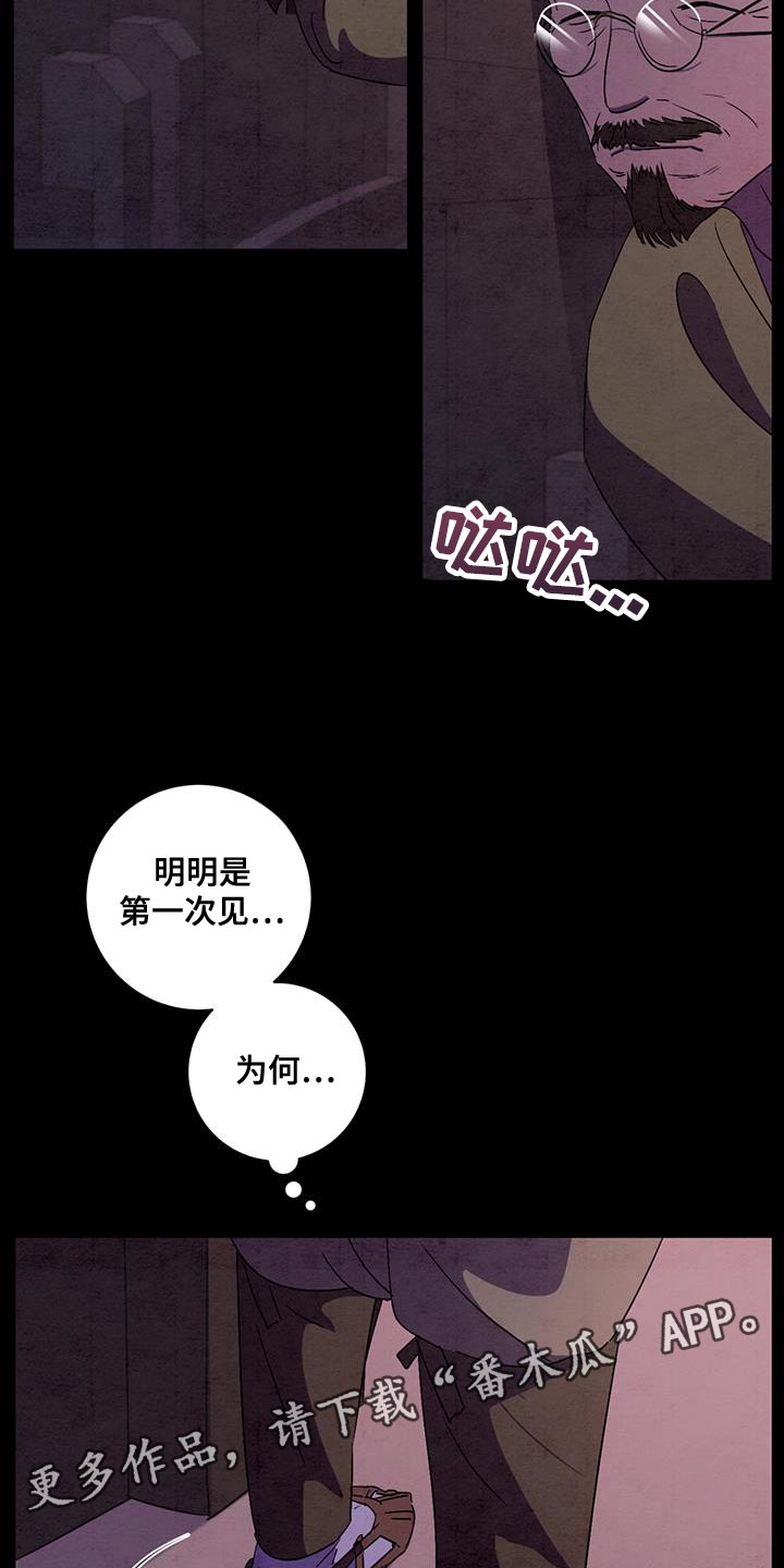 第54章：相貌特征1