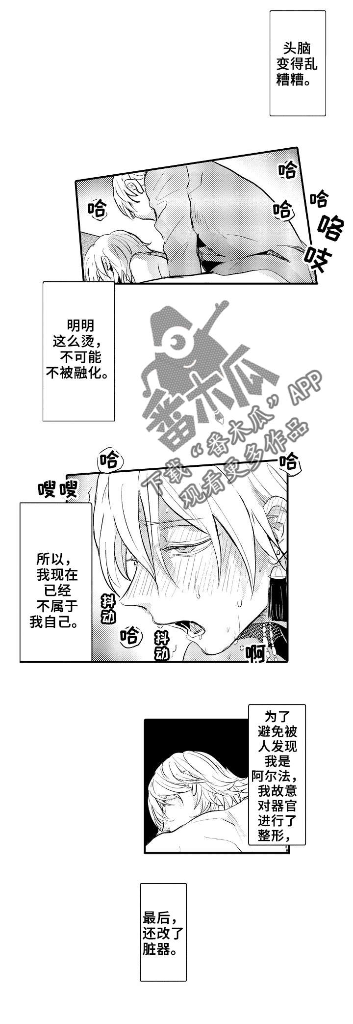 第13章：伴侣1