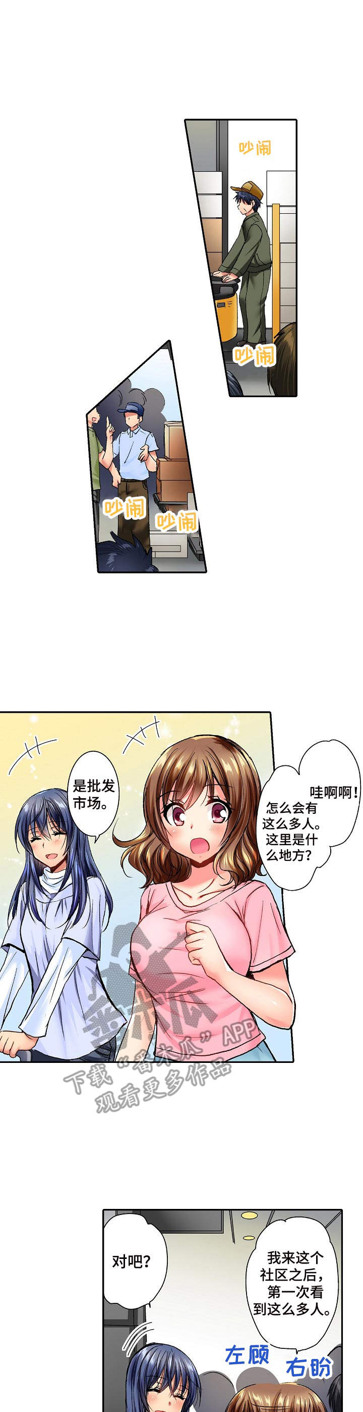 第11章：批发市场2