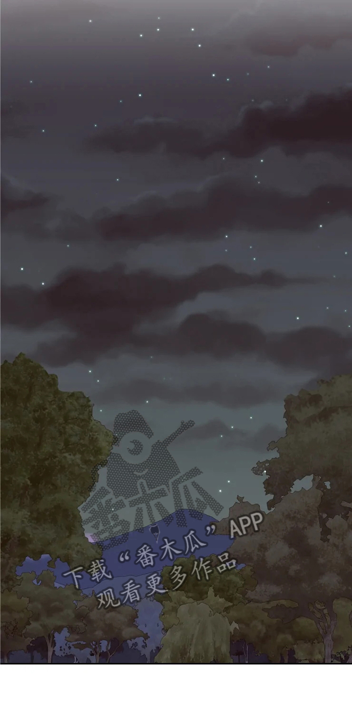 第53章：给我看0