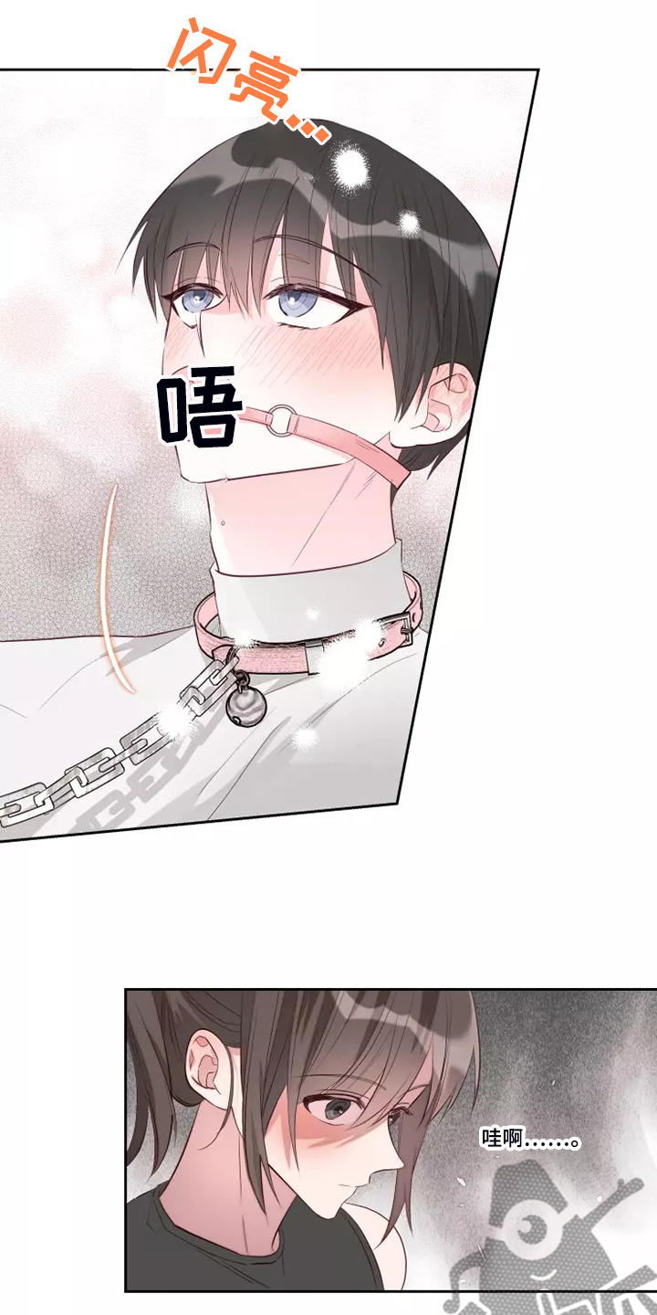 第71章：风水轮流转4