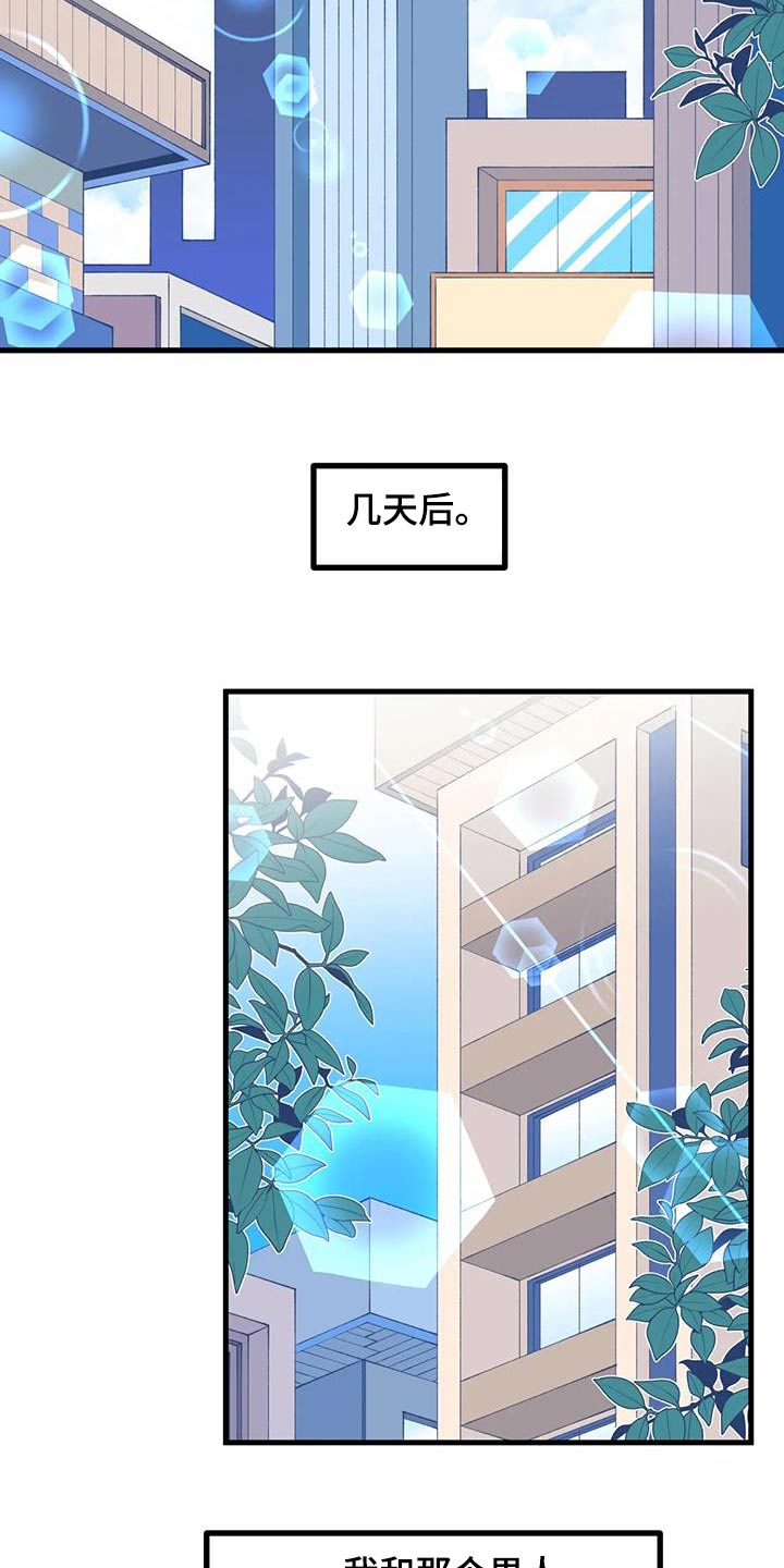 第61章：【番外】野餐1