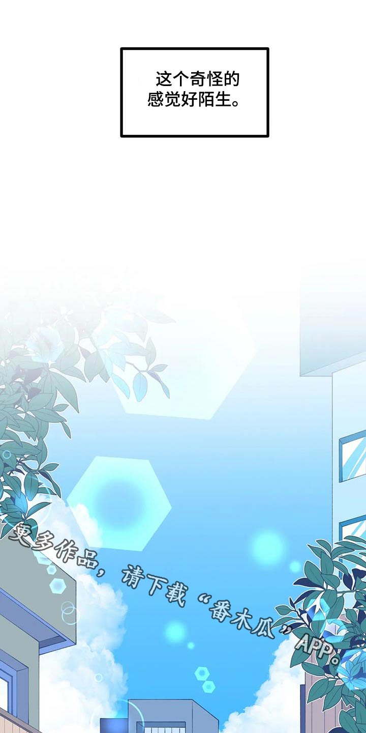 第61章：【番外】野餐0