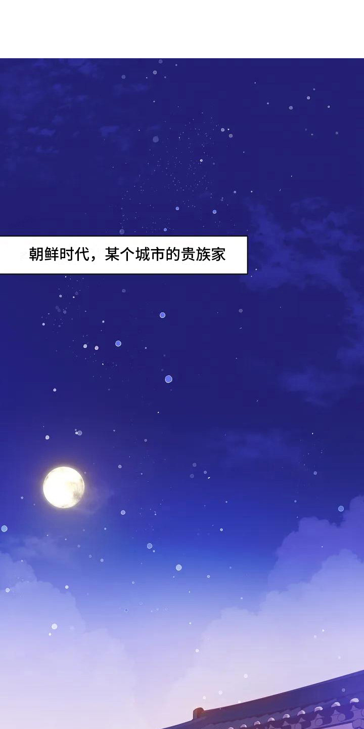 第9章：兔子的处境：兔子贵族1