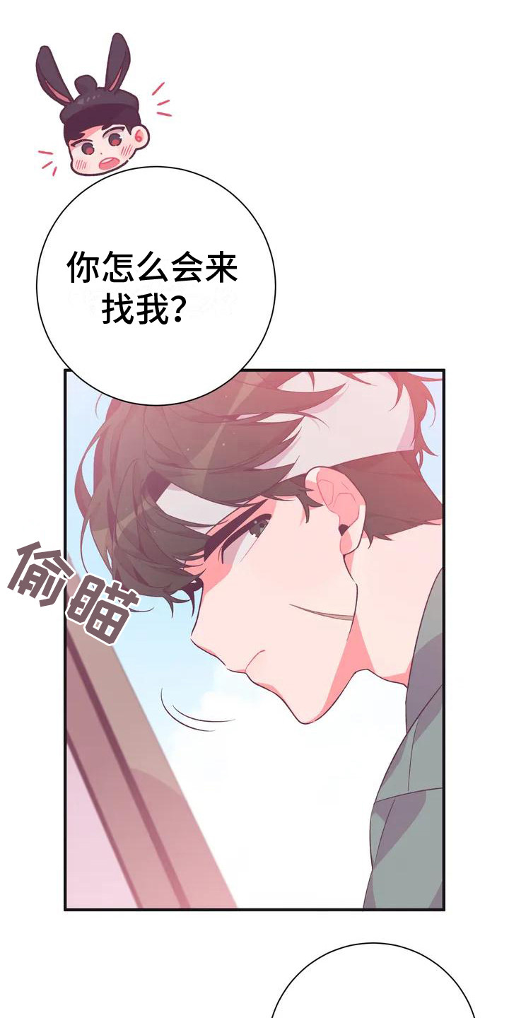 第10章：兔子的处境：传闻0