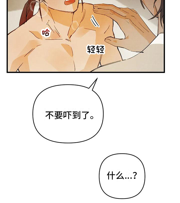 第27章： 请咬一口年糕：真心的2