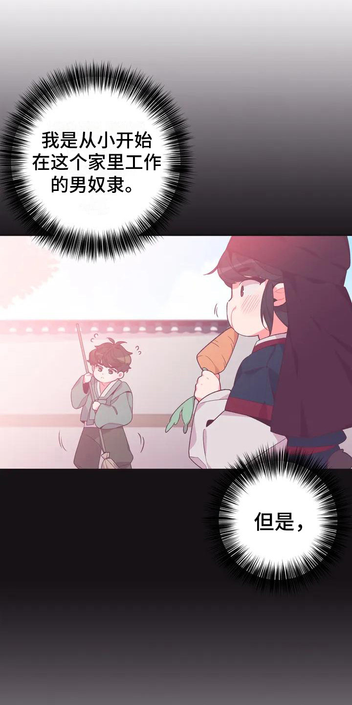 第9章：兔子的处境：兔子贵族0