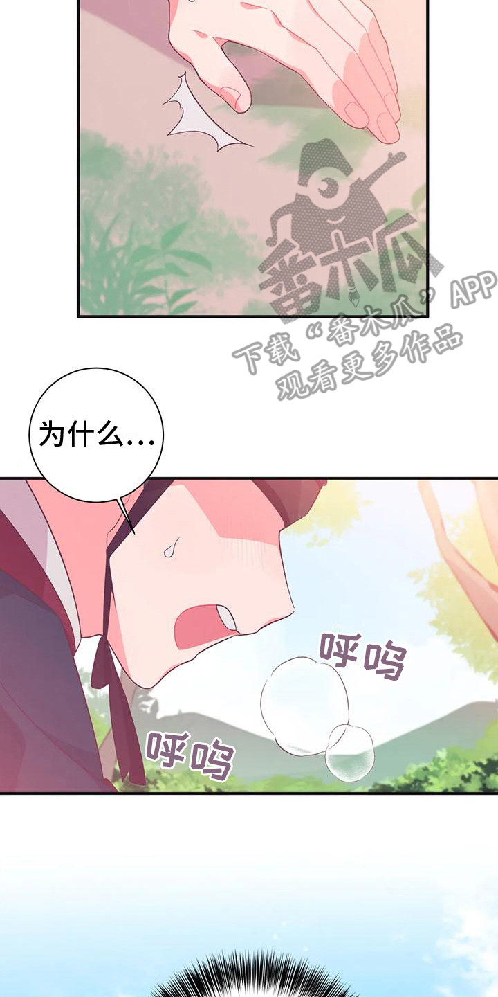 第14章：兔子的处境：比赛1