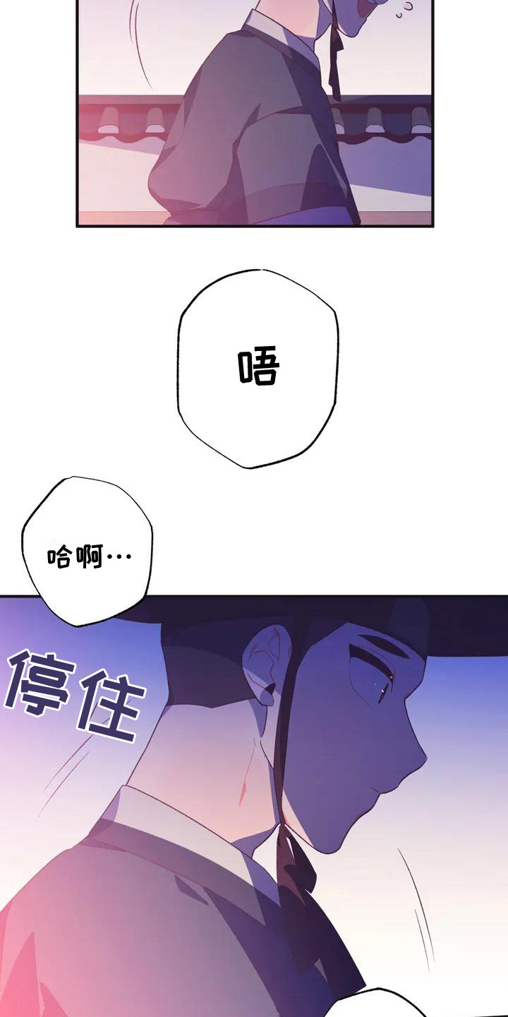 第11章： 兔子的处境：被迷住3