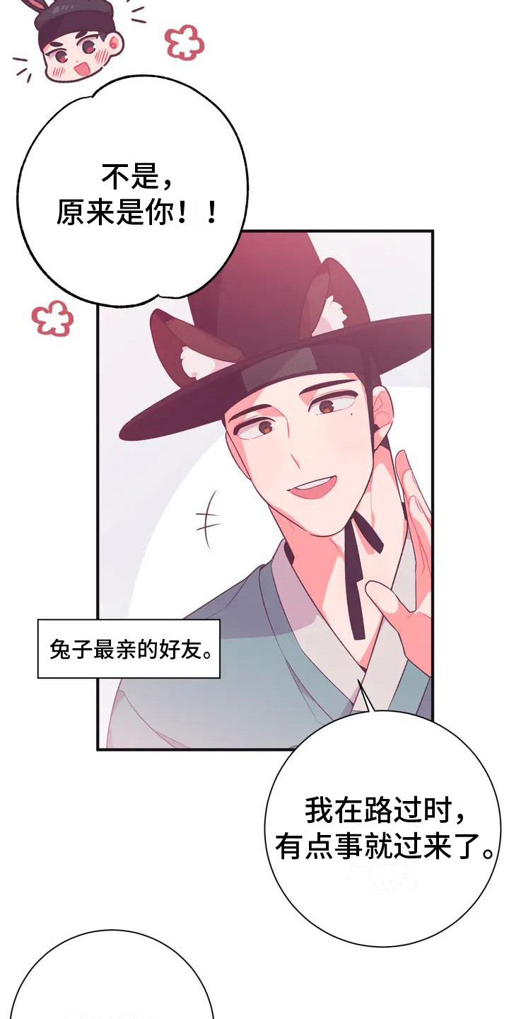 第9章：兔子的处境：兔子贵族3