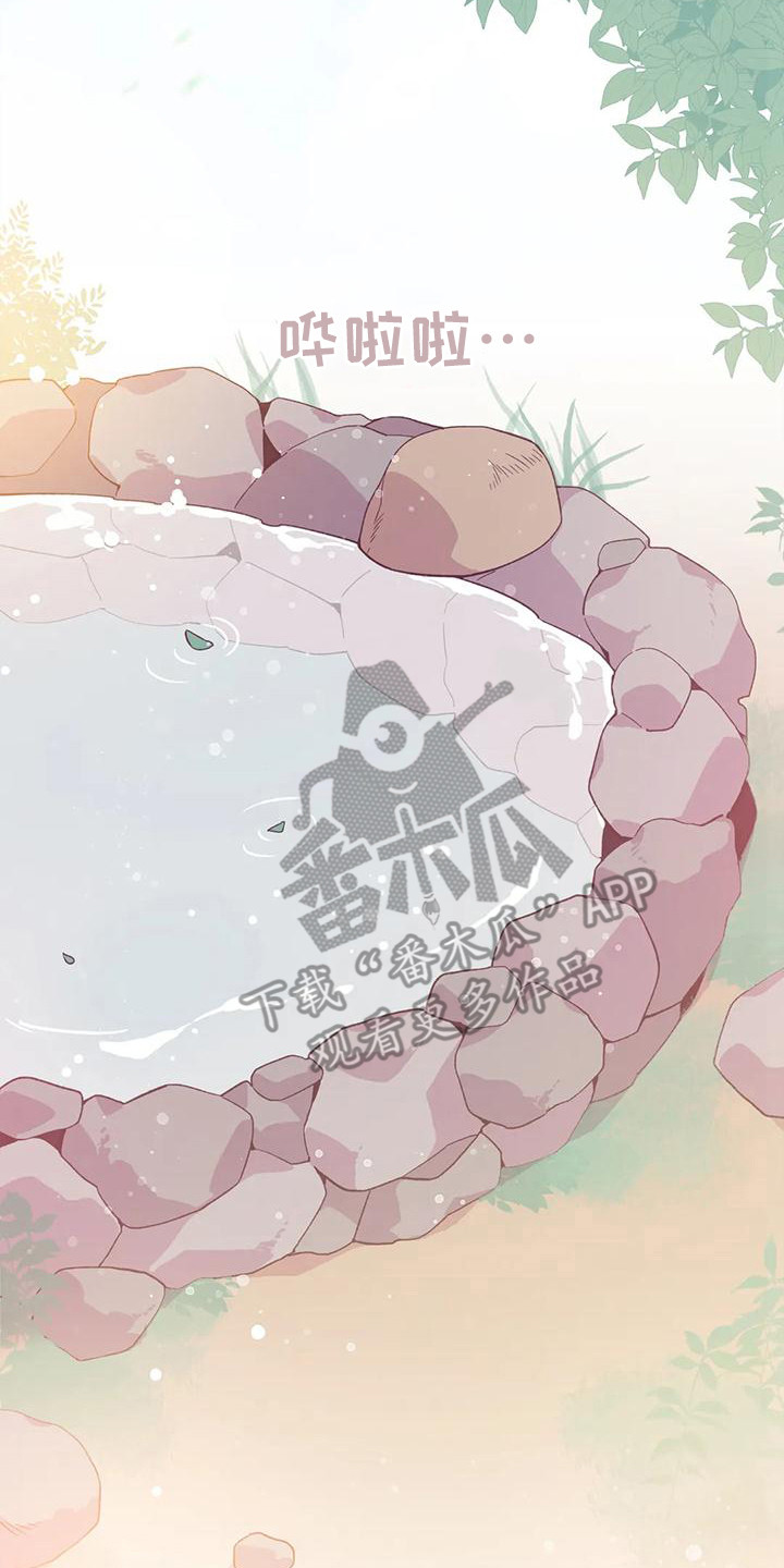 第11章： 兔子的处境：被迷住0