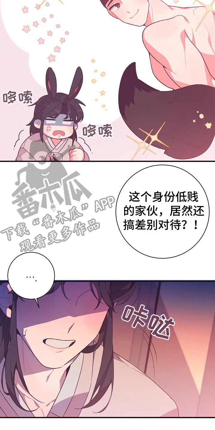 第12章：兔子的处境：拒绝2